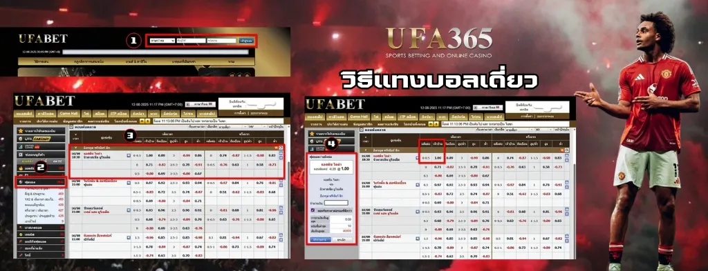 วิธีแทงบอลเต็ง