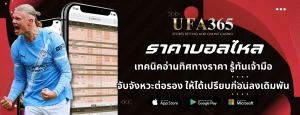 ราคาบอลไหล
